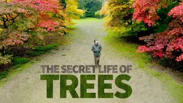 Backdrop for the TV series "The Secret Life of Trees" #1677273