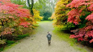 Backdrop for the TV series "The Secret Life of Trees" #1677274