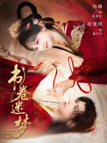 书卷迷梦 Poster