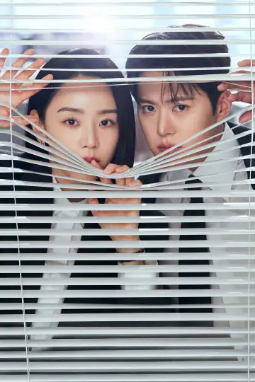 Poster for the TV series "Filing for Love" #1420837