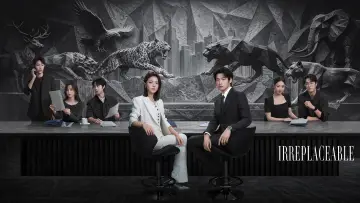 Backdrop for the TV series "Irreplaceable" #1787128