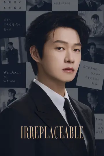 Poster for the TV series "Irreplaceable" #1787135