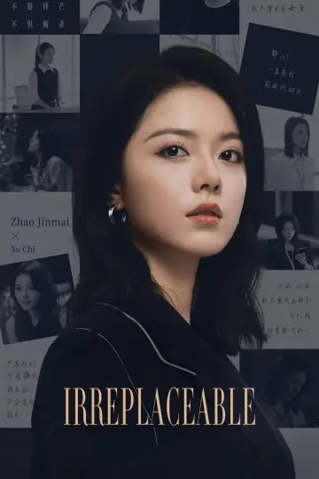 Poster for the TV series "Irreplaceable" #1787136
