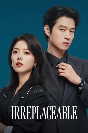 Poster for the TV series "Irreplaceable" #1819546