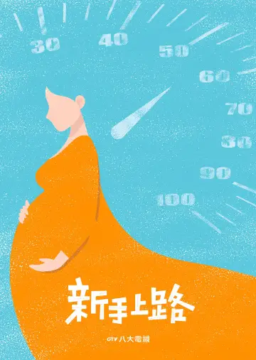 Driving Mom Crazy Poster