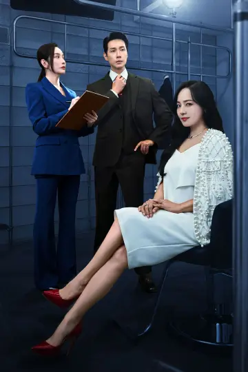 Poster for the TV series "First Lady" #1819713
