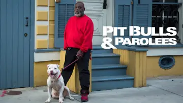 Backdrop for the TV series "Pit Bulls and Parolees" #1539171