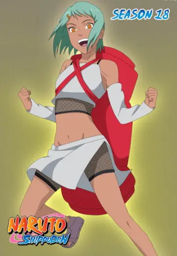 Poster for the TV series "Naruto Shippūden" #1516856