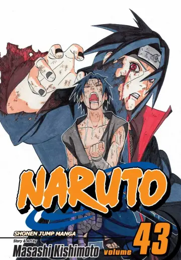 Poster for the TV series "Naruto Shippūden" #1815817