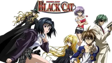 Backdrop к сериалу "Black Cat" #1453001