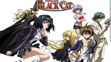 Backdrop к сериалу "Black Cat" #1453006