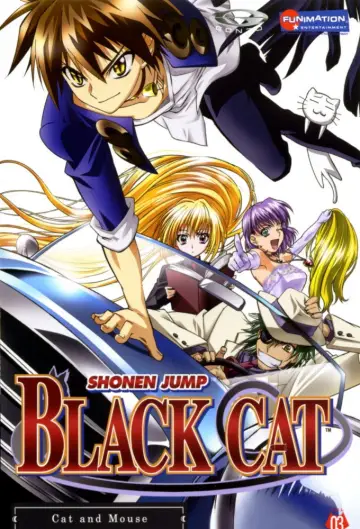 Poster к сериалу "Black Cat" #1453013