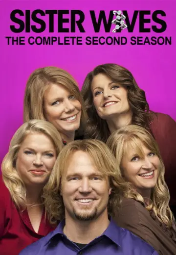 Poster for the TV series "Sister Wives" #1707534