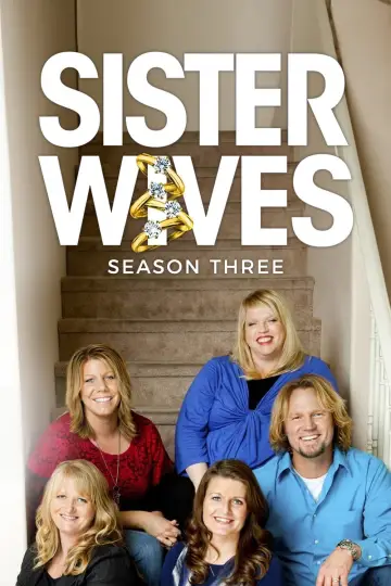 Poster for the TV series "Sister Wives" #1707535