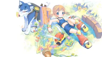 Fairy Musketeers Poster