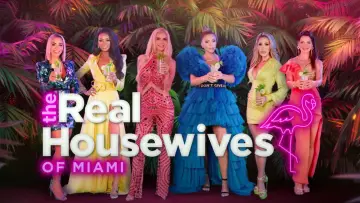 Backdrop for the TV series "The Real Housewives of Miami" #1505235