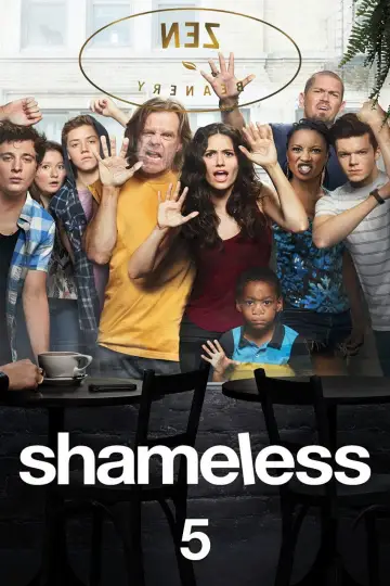 Poster for the TV series "Shameless" #1242380