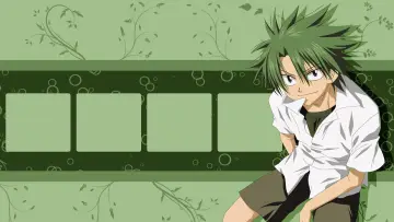 Backdrop for the TV series "The Law of Ueki" #1420495