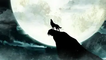 Backdrop for the TV series "Wolf