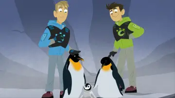 Backdrop for the TV series "Wild Kratts" #1845278