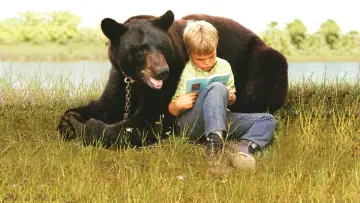 Backdrop for the TV series "Gentle Ben" #1789615