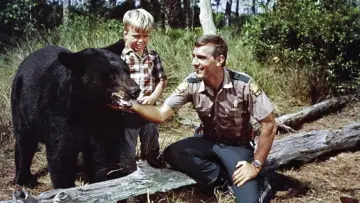 Backdrop for the TV series "Gentle Ben" #1789616