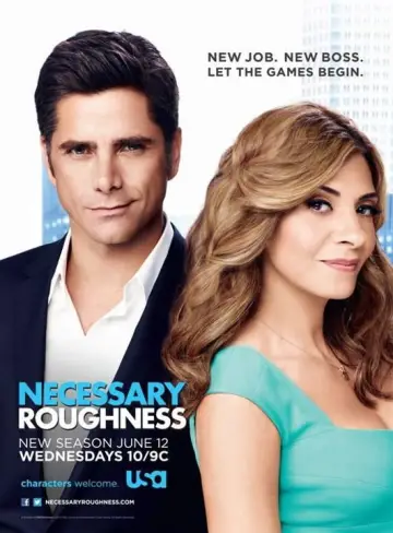 Poster for the TV series "Necessary Roughness" #1785660