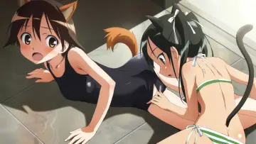 Backdrop for the TV series "Strike Witches" #1387657