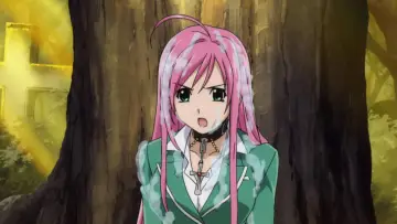 Backdrop for the TV series "Rosario + Vampire" #1459622