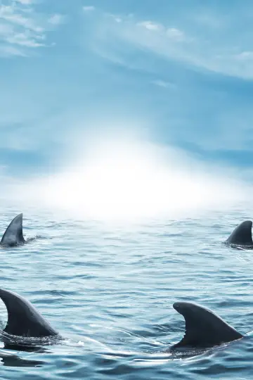 Poster к сериалу "Shark Tank" #1305261