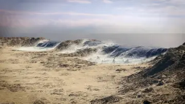 Backdrop for the TV series "Drain the Oceans" #1868076