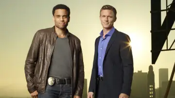 Backdrop for the TV series "Common Law" #1741907