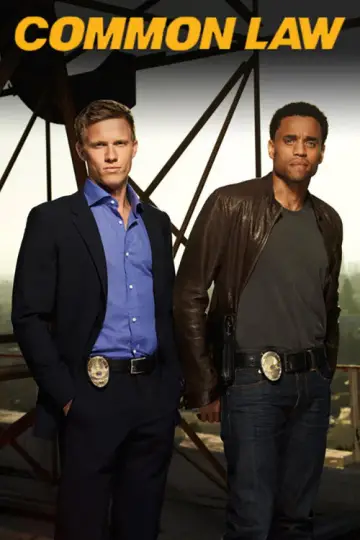 Poster for the TV series "Common Law" #1741915