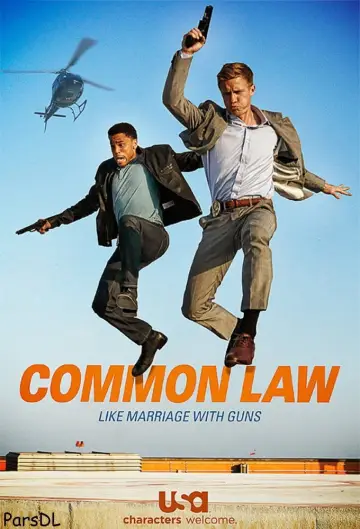 Poster for the TV series "Common Law" #1741916