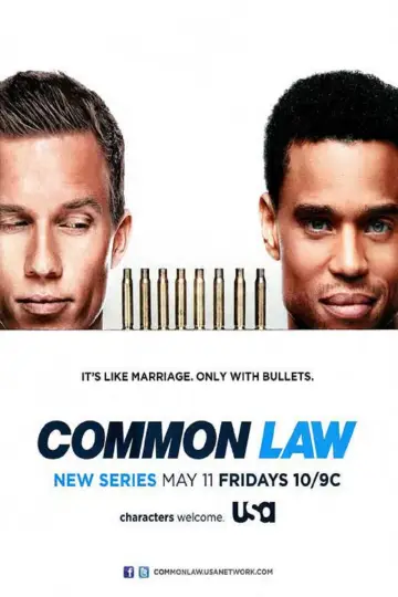 Poster for the TV series "Common Law" #1741919