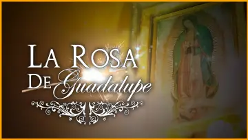Backdrop к сериалу "La rosa de Guadalupe" #1315759