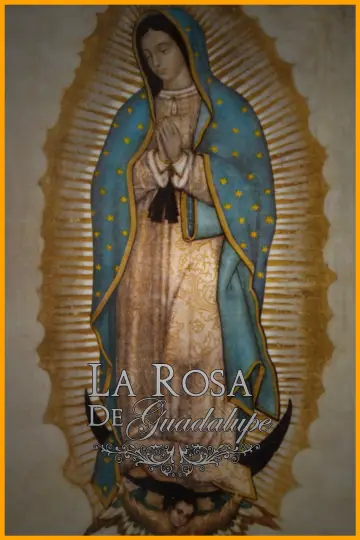 Poster к сериалу "La rosa de Guadalupe" #1315761