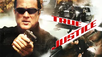 Backdrop for the TV series "True Justice" #1831102