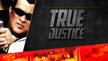 Backdrop for the TV series "True Justice" #1831104