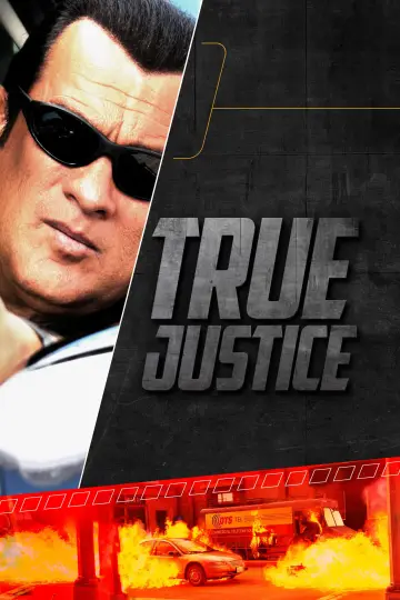 Poster for the TV series "True Justice" #1831114
