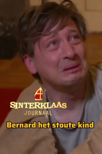 Poster for the TV series "Sinterklaasjournaal" #1689283