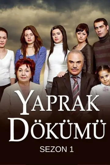 Poster for the TV series "Falling Leaves" #1692137
