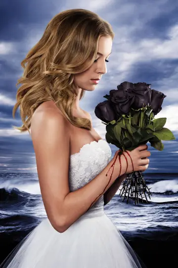 Poster к сериалу "Revenge" #1320282