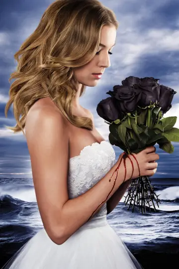 Poster к сериалу "Revenge" #1320285