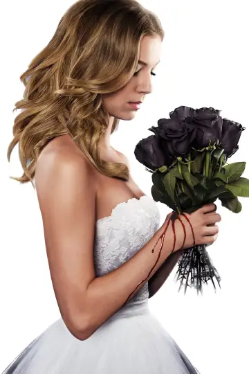 Poster к сериалу "Revenge" #1320295