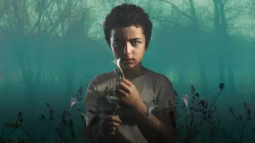 Backdrop к сериалу "The Sinner" #1315312
