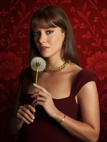 Poster for the TV series "Envy" #1602798