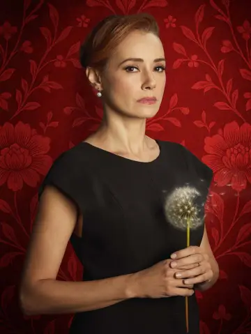 Poster for the TV series "Envy" #1602801