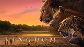 Backdrop for the TV series "Kingdom" #1473584