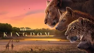 Backdrop for the TV series "Kingdom" #1473585